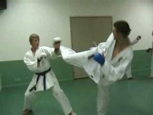 gunnar nelson karate